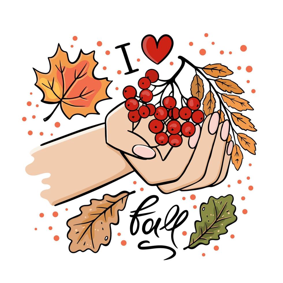 HAND WITH ROWAN BRANCH AND AUTUMN LEAVES Vector Illustration