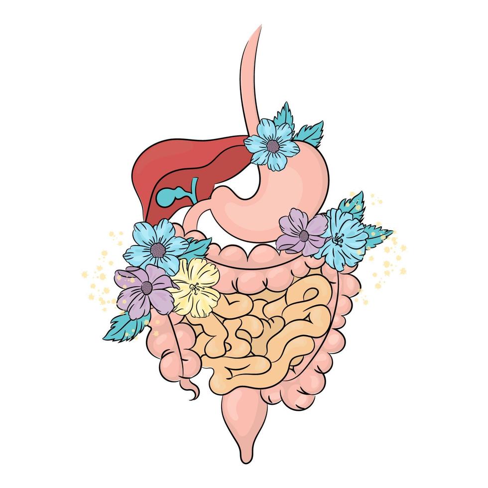 GASTROINTESTINAL CARE Medicine Health Vector Illustration