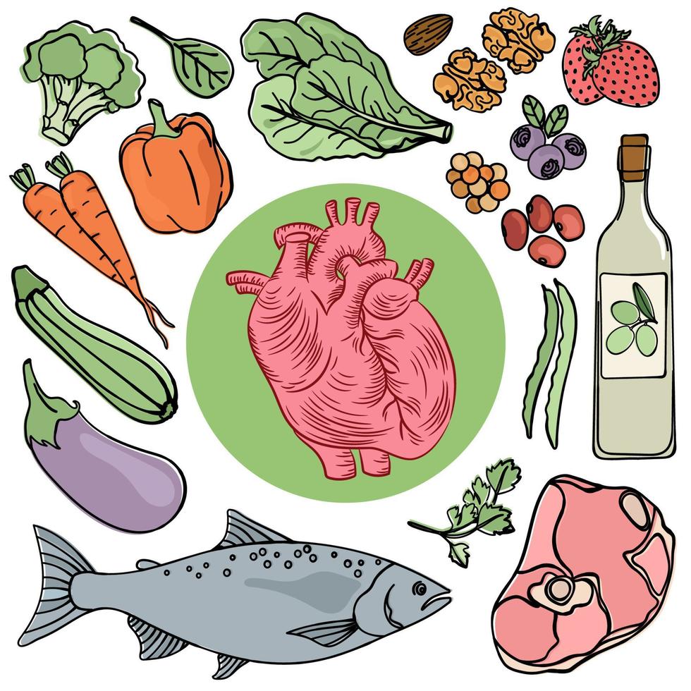 HEART HEALTH FOOD Human Diet Nutrition Vector Illustration