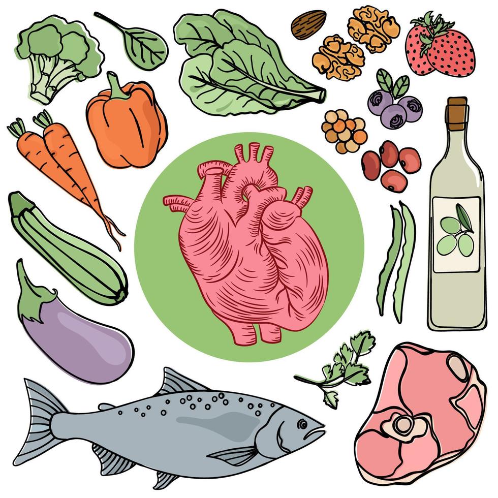 corazón salud comida humano dieta nutrición vector ilustración