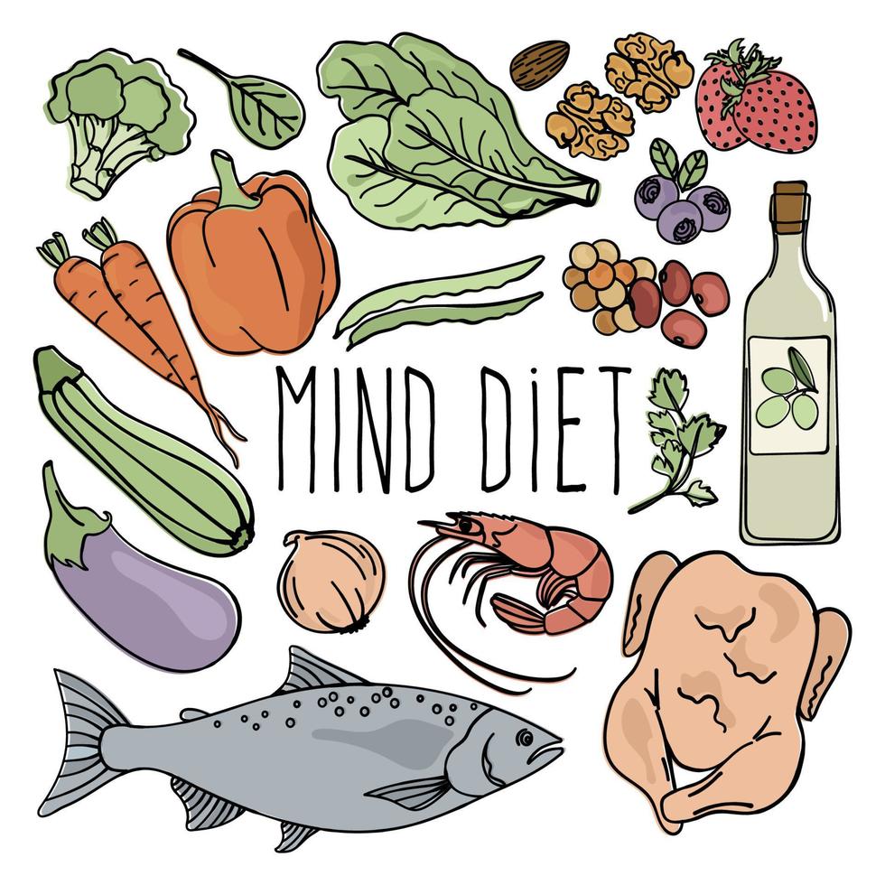 MIND DIET Healthy Nutrition Brain Vector Illustration Set