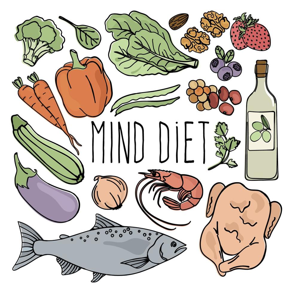 mente dieta sano nutrición cerebro vector ilustración conjunto