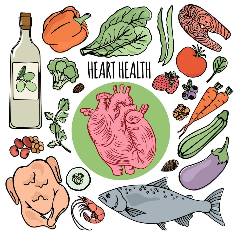 corazón salud dieta humano nutrición vector ilustración conjunto