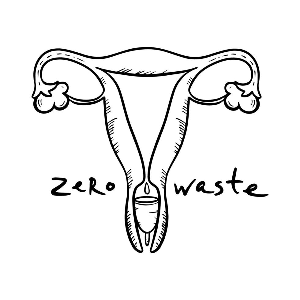 MENSTRUAL CUP Zero Waste Hand Drawn Vector Illustration Set