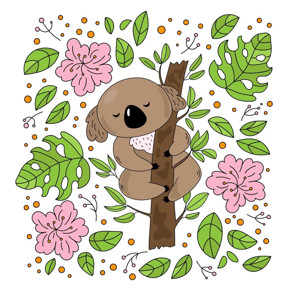 coala jardín australiano oso flor vector ilustración conjunto