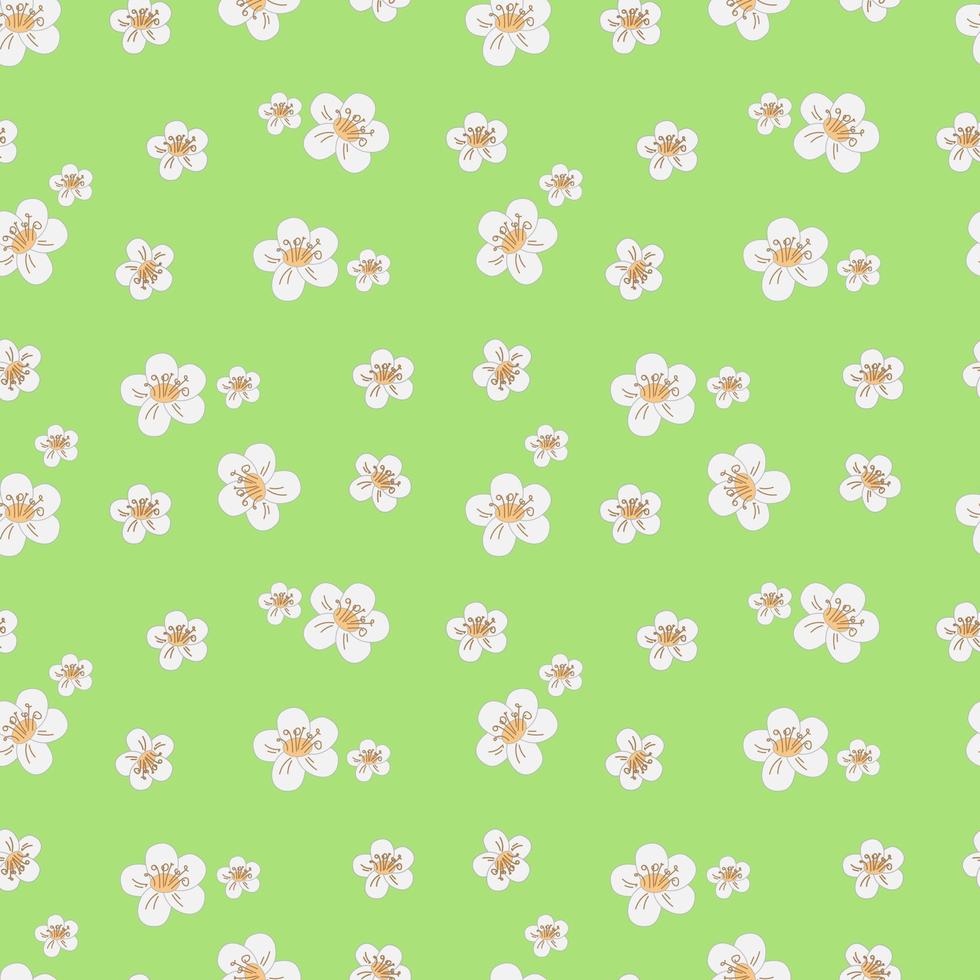 vector illustration seampless pattern white spring flowers on green background