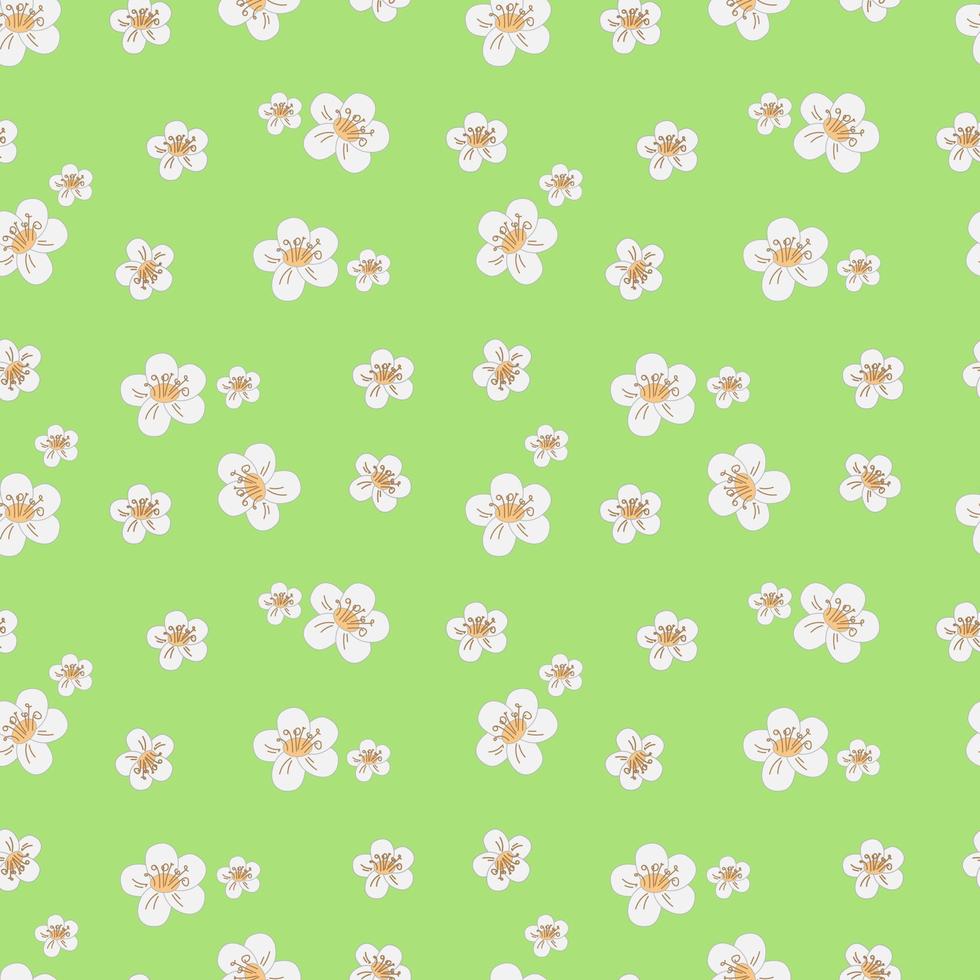 vector illustration seampless pattern white spring flowers on green background