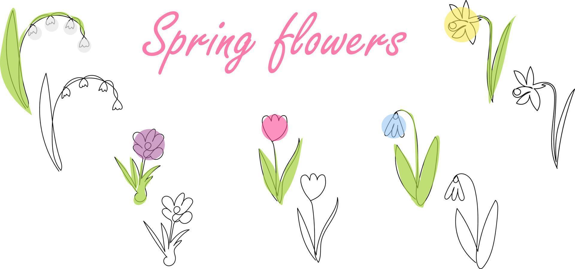 vector illustration set of spring flowers in lineart style
