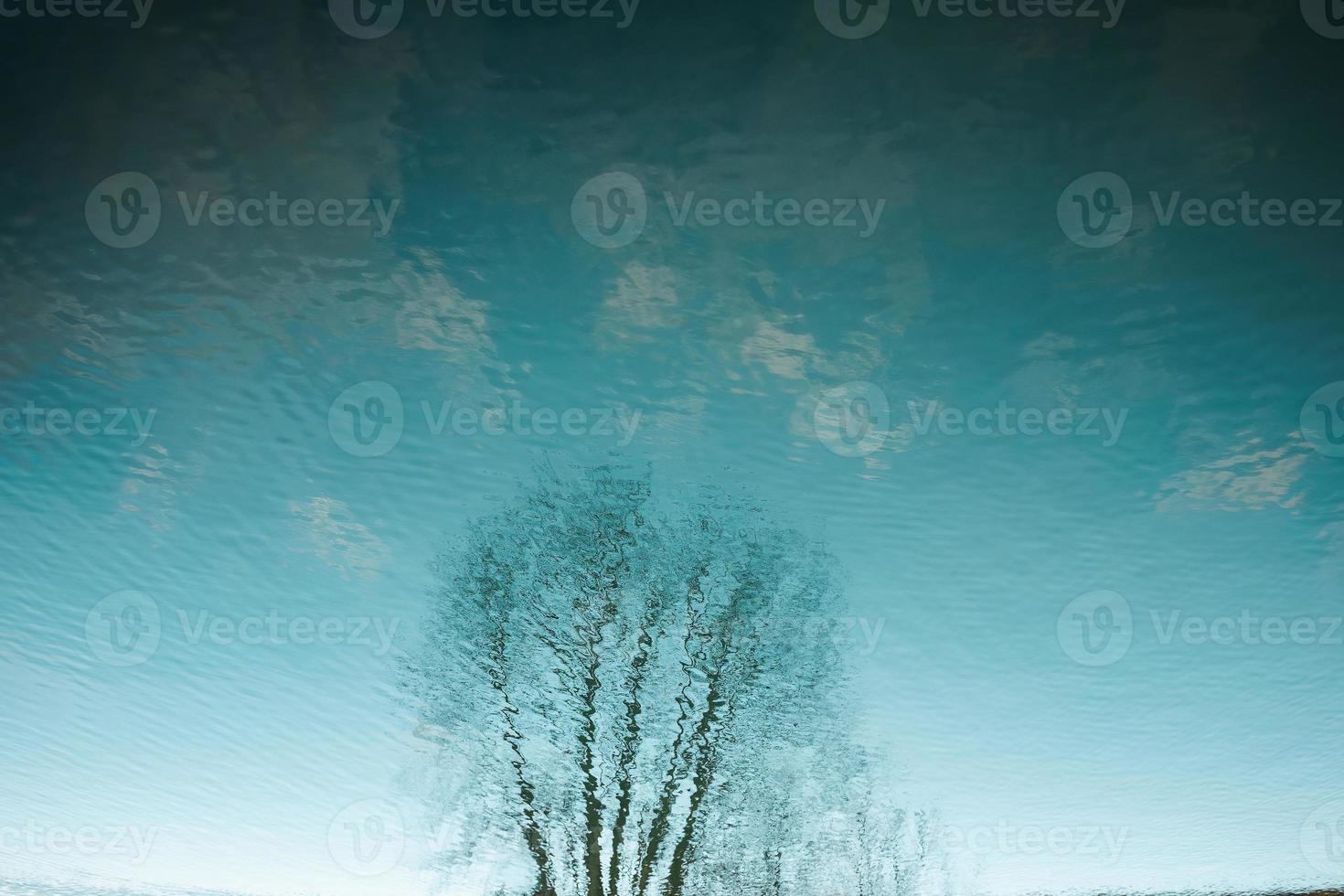 árbol y cielo reflexión en agua foto