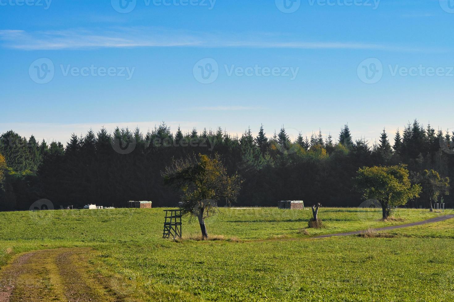 Meadow with hiking trail in Rhineland-Palatinate. View over field with trees photo