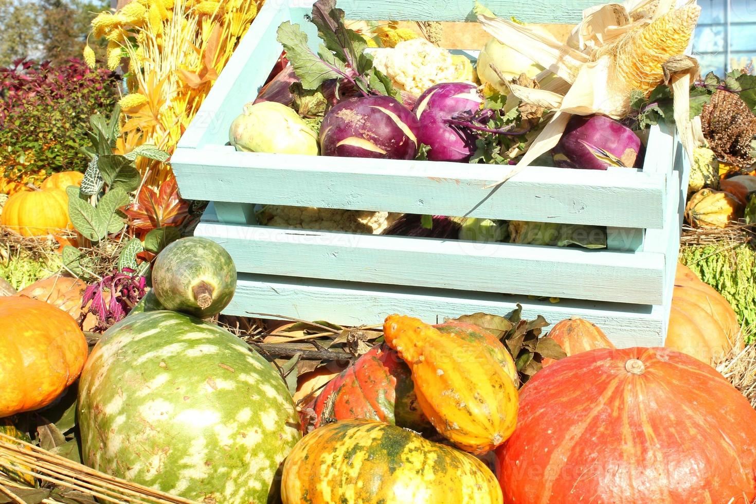 Organic pumpkin and vegetable in wooden box on agricultural fair. Harvesting autumn time concept. Garden fall natural plant. Thanksgiving halloween decor. Festive farm rural background. Vegan food. photo