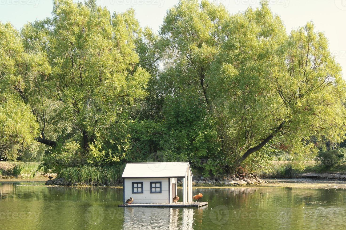 White wooden floating duck house in the centre of the pond in public park. Bird sanctuary in artificial lake. Spring nest. Summer green view. Wildlife nature reserve in river water. Waterfowl shelter photo