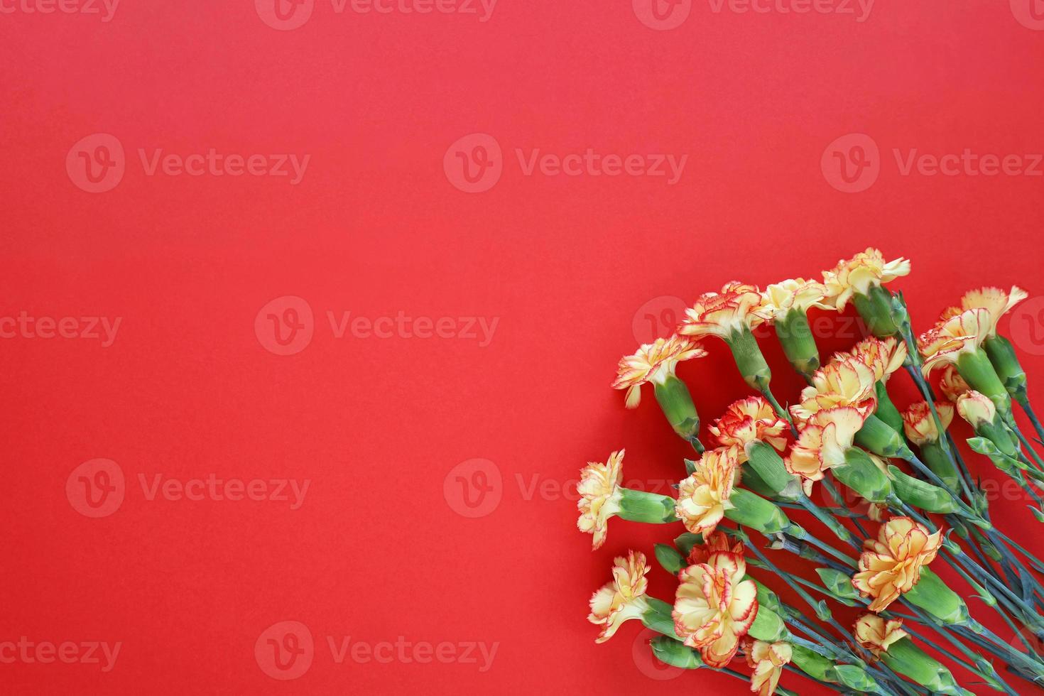 Bouquet of red-yellow carnations in bottom right corner on red paper background. Victory Day. Veterans Day. Memorial Day. World War memory symbol. Greeting card with place for text. photo