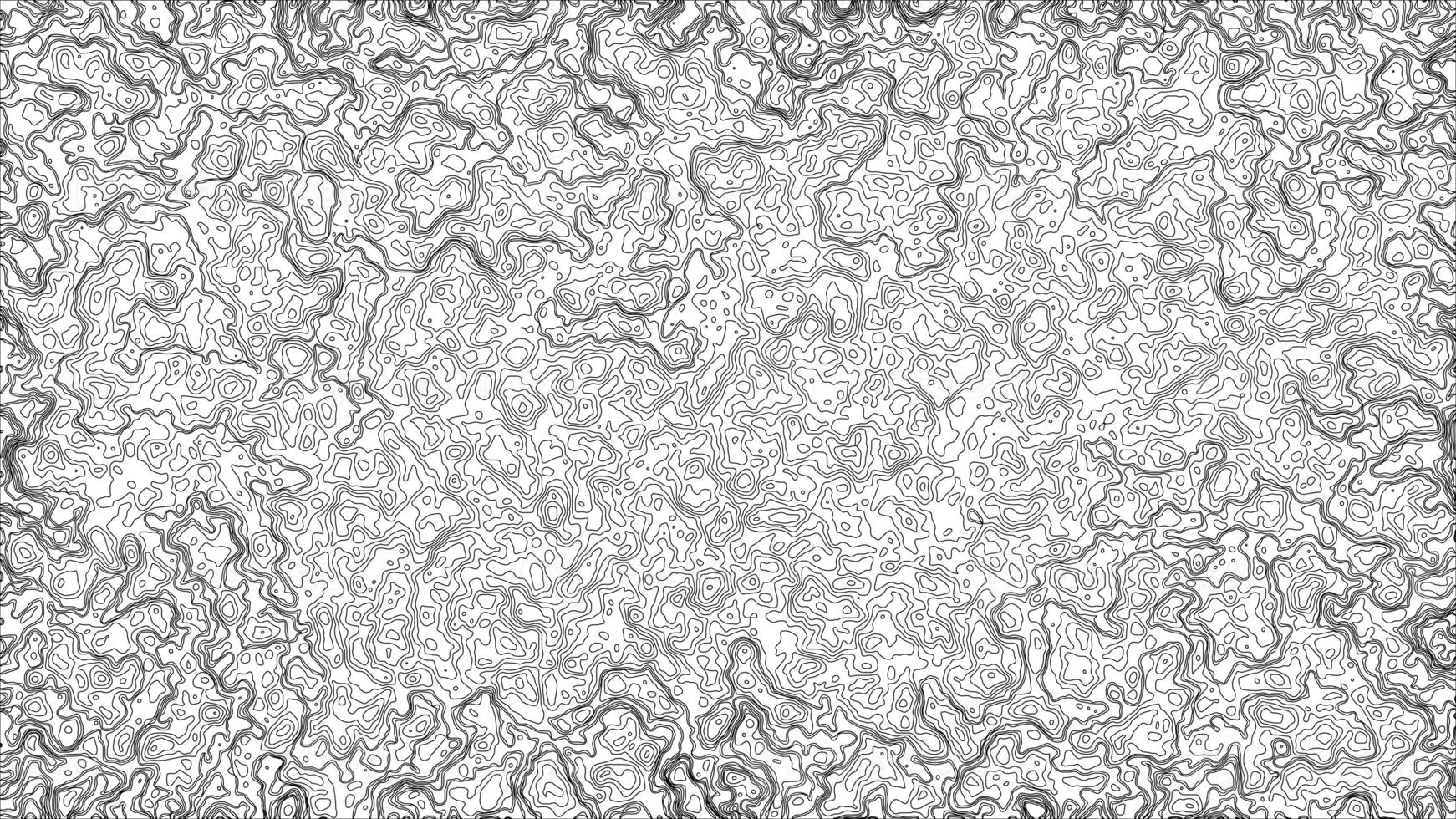 Abstract blank detailed topographic contour map subtle white background. Geographic topographic map grid. Line map with elevation. Topographic cartography. Topographic map. Topographic Relief. photo