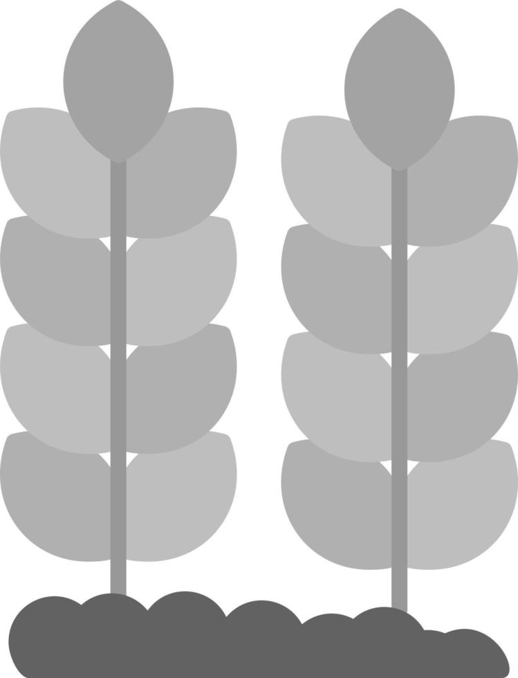 Wheat Vector Icon