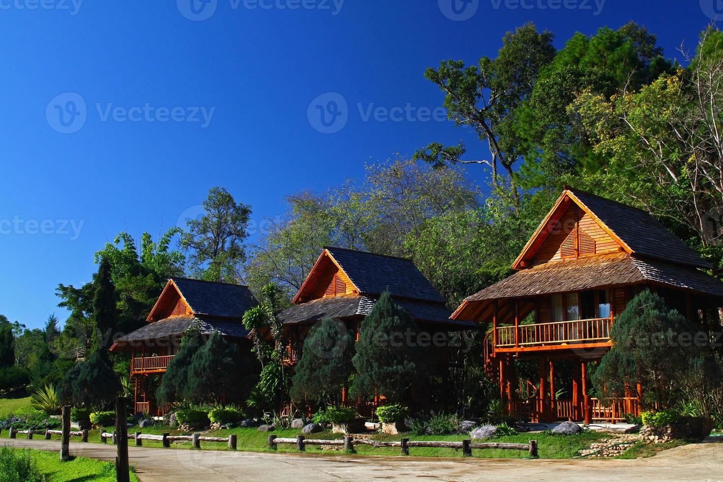 Thee wooden house with green tree and clear blue sky background at north of Thailand. Exterior design by use wood material to build and Beautiful in nature or Landmark for travel at Chiangmai. photo