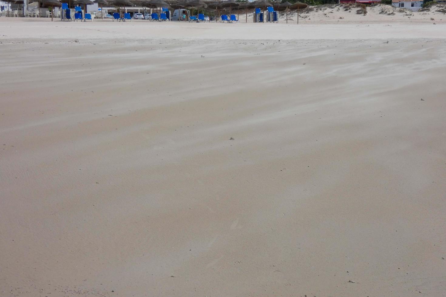 sandstorm on the beach, wind blowing the sand away photo