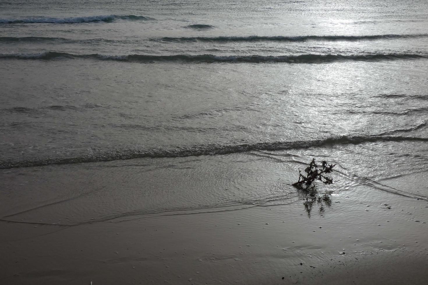 playa solitaria y poco concurrida con mar en calma y olas pequeñas foto