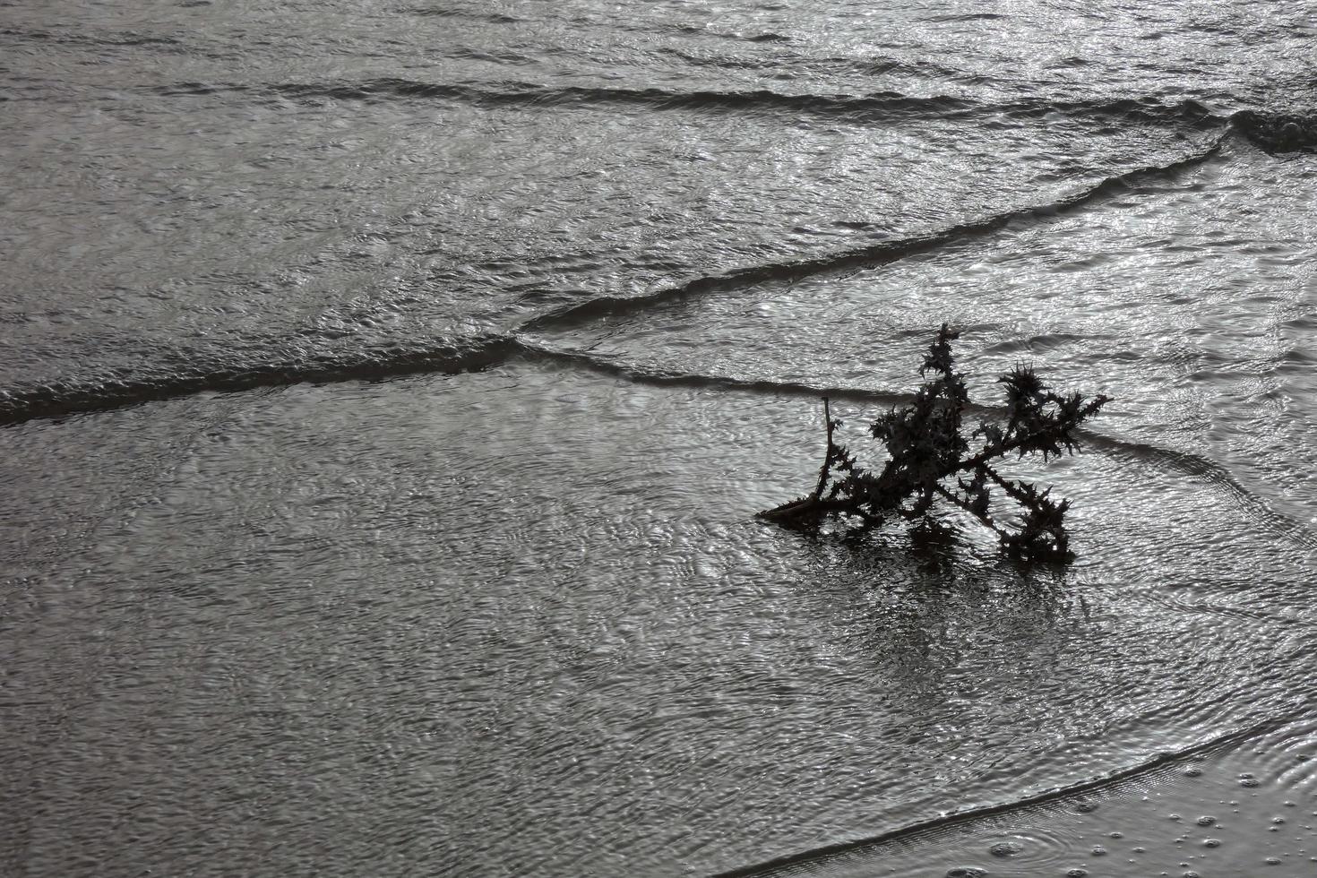 lonely, uncrowded beach with calm sea and small waves photo