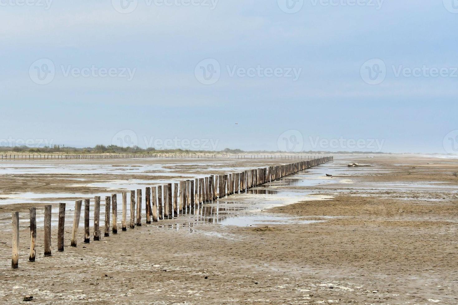 View of the beach photo