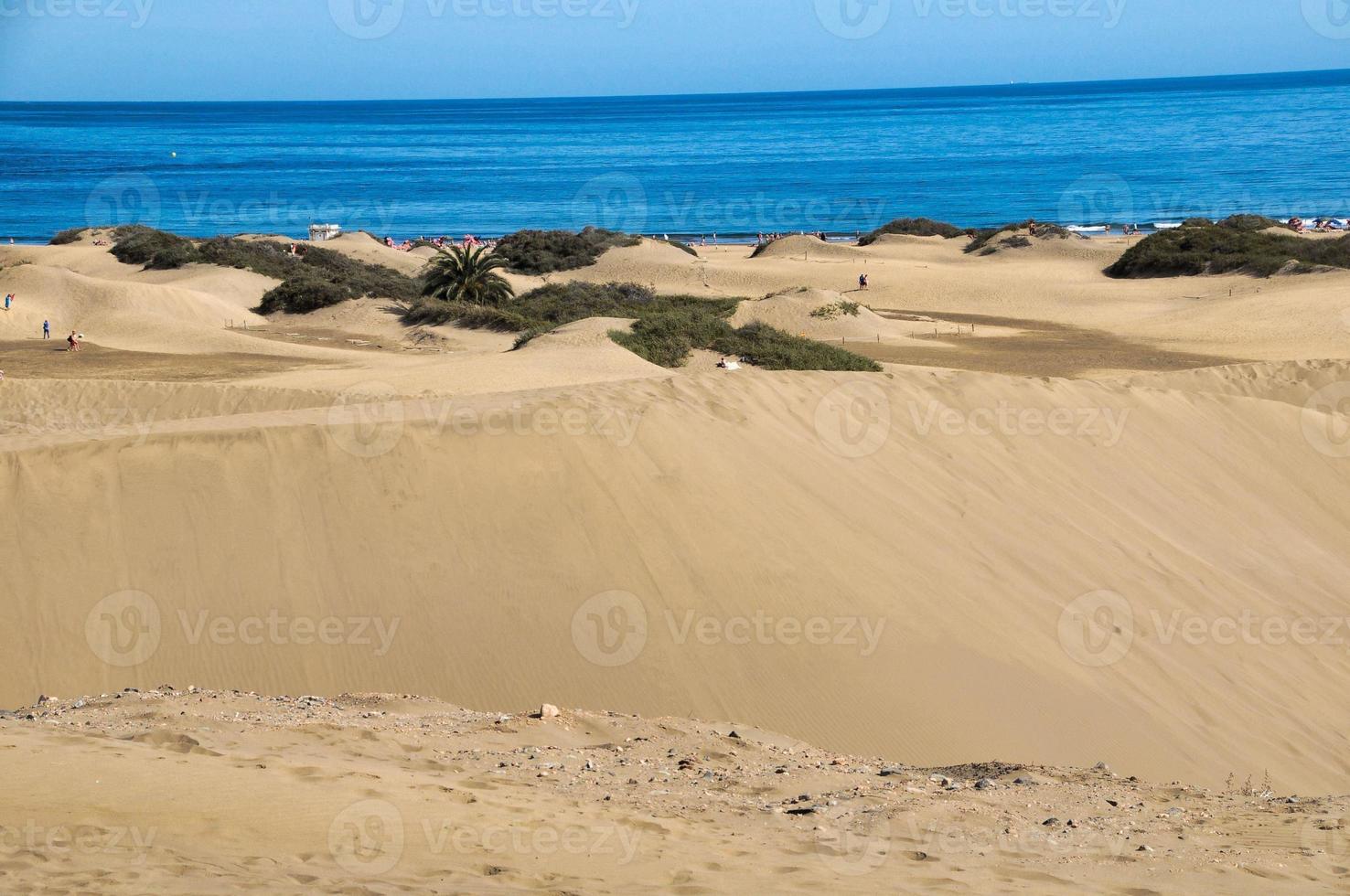 Scenic coastal view photo