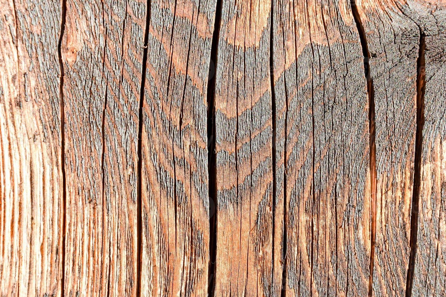Rough wood texture photo