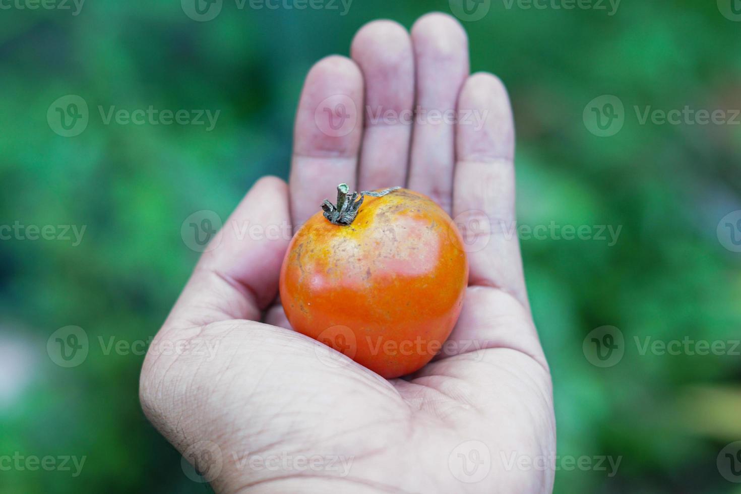 rojo corazones con amoroso y cuidando adultos símbolo de apoyo ese expresa amor enamorado día y mundo corazón día, corazón salud concepto foto