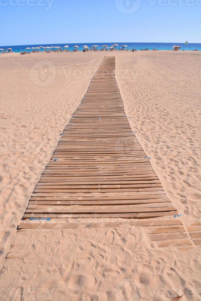 Path on the beach photo