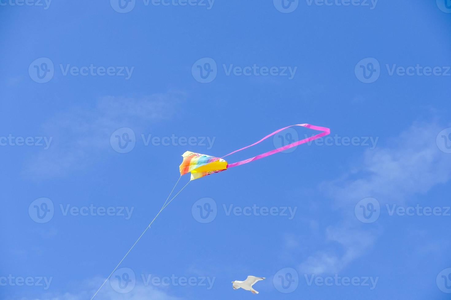 Colorful flying kite photo