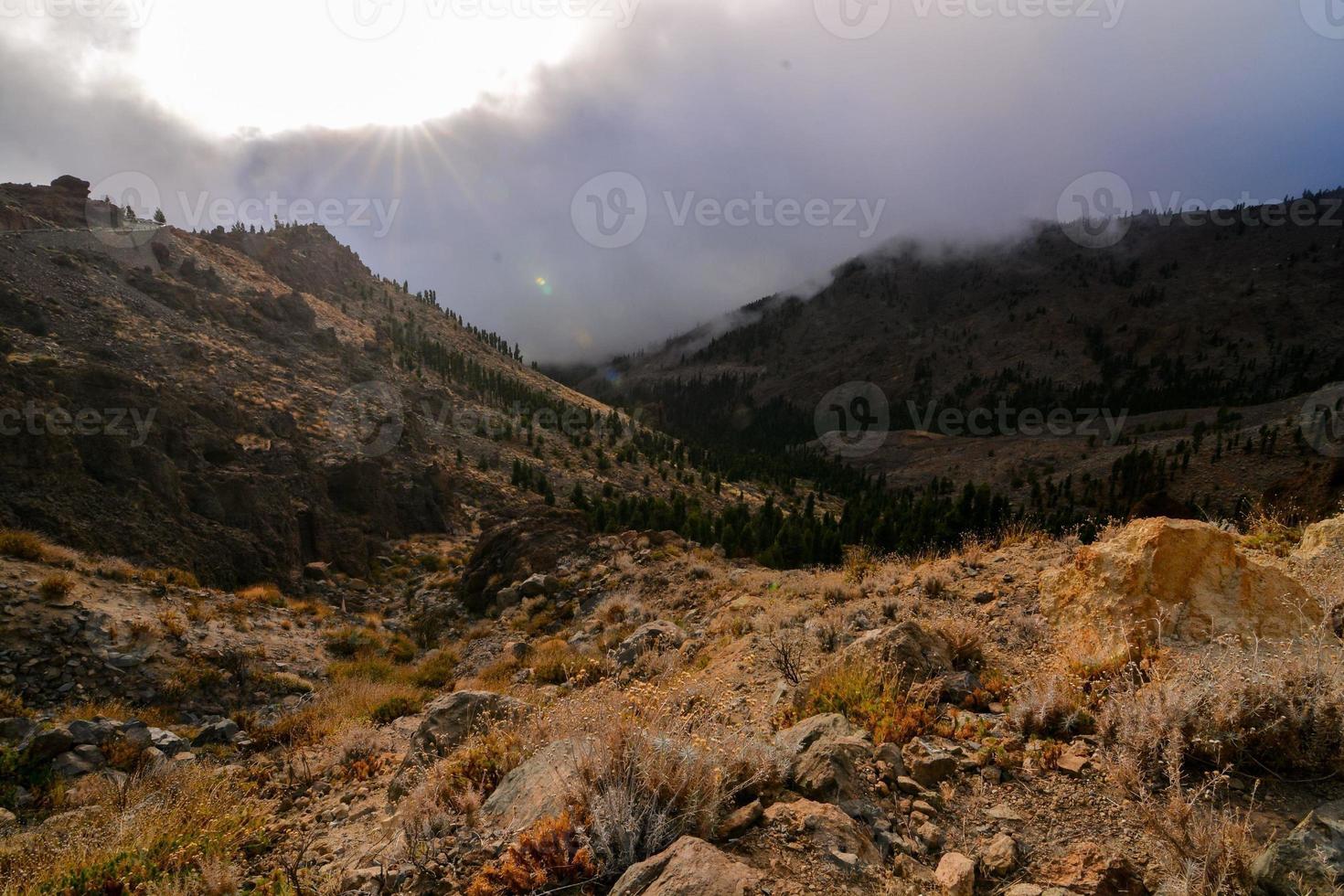 paisaje en tenerife foto