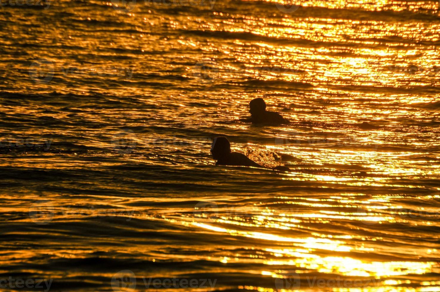 Swimming in the ocean photo