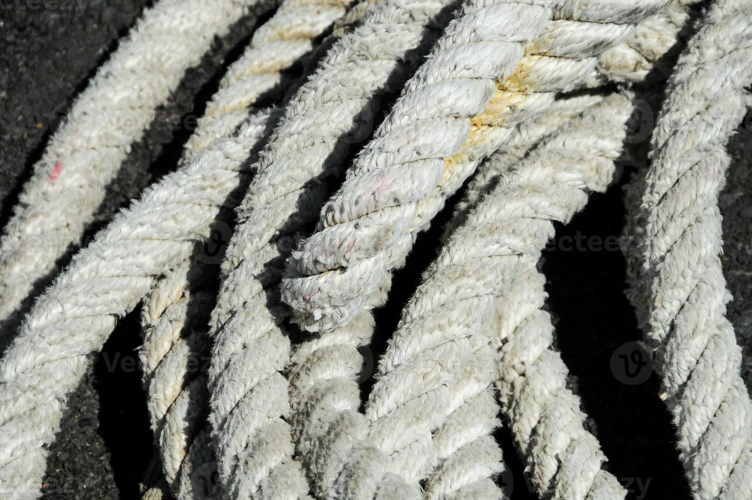 White nautical rope photo