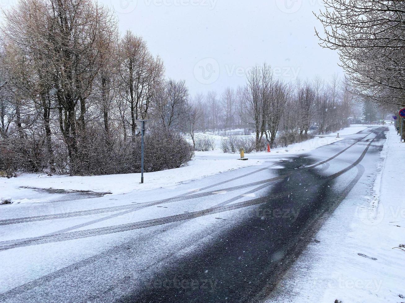 A view of Reykjavik park covered in snow photo