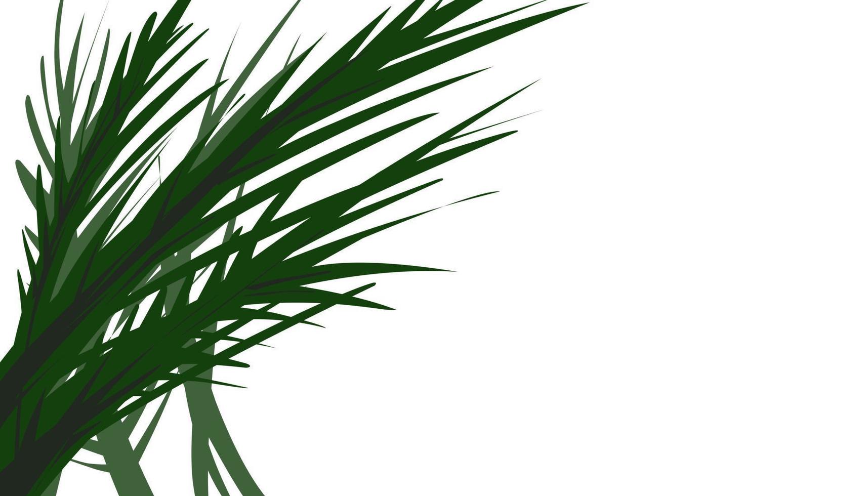 Green grass plant illustration background vector