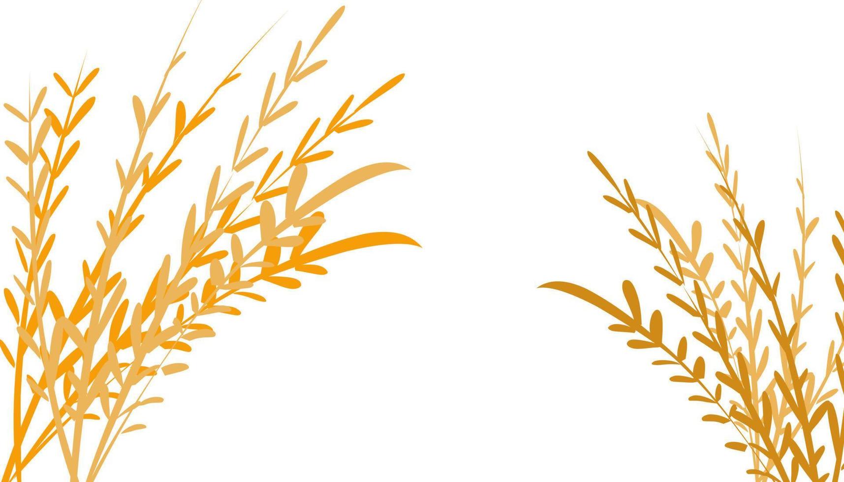 Yellow rice plant illustration background vector