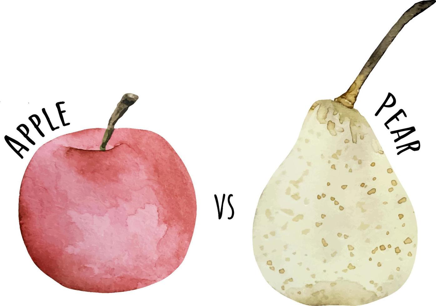 Watercolor illustration fresh raw fruit. Apple and pear. vector