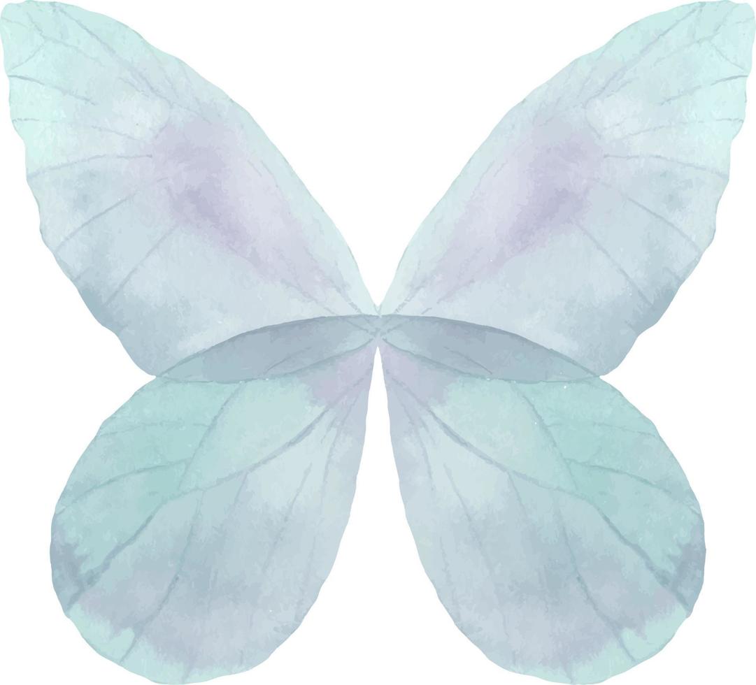 Watercolor blue butterfly. Colorful blue butterfly illustration vector