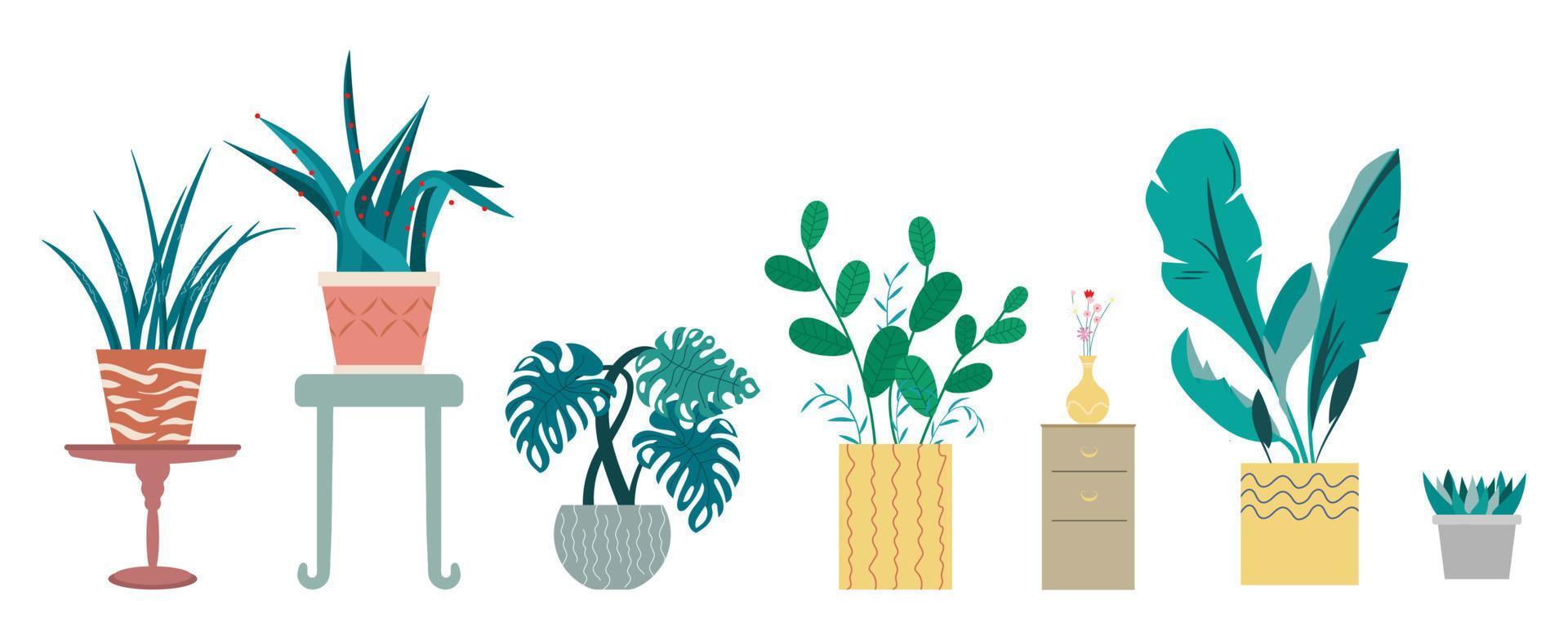 colección de interior hojas, casa estético tropical plantas Pro vector