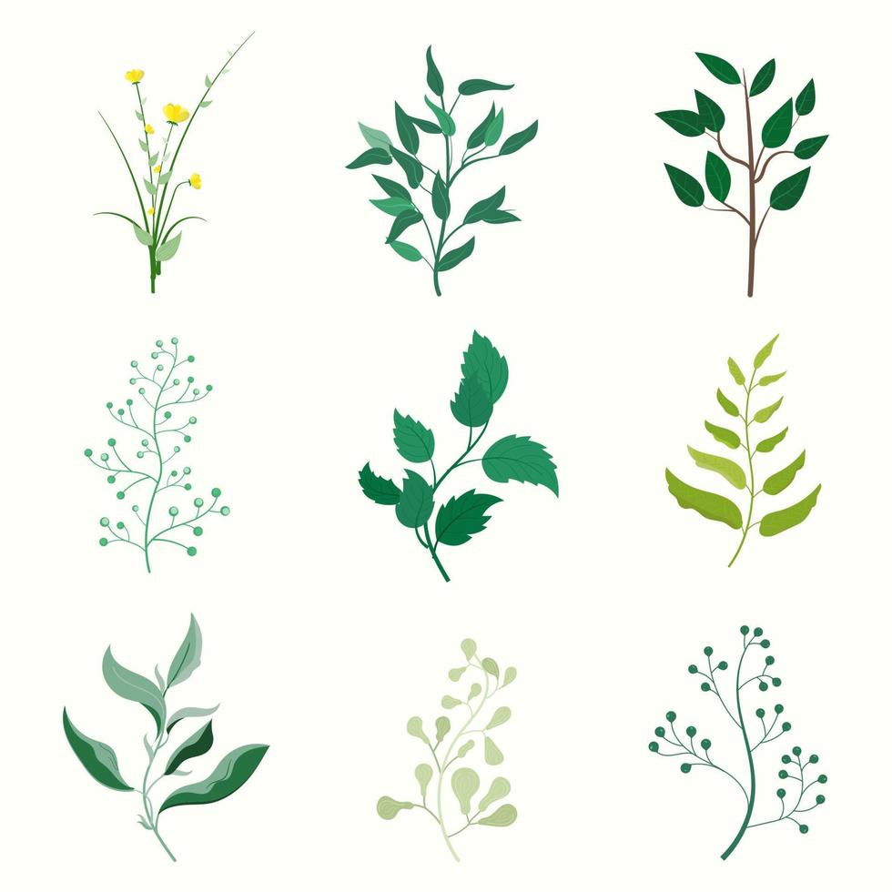 tropical leaf and flower collection, aesthetic leaf object vector