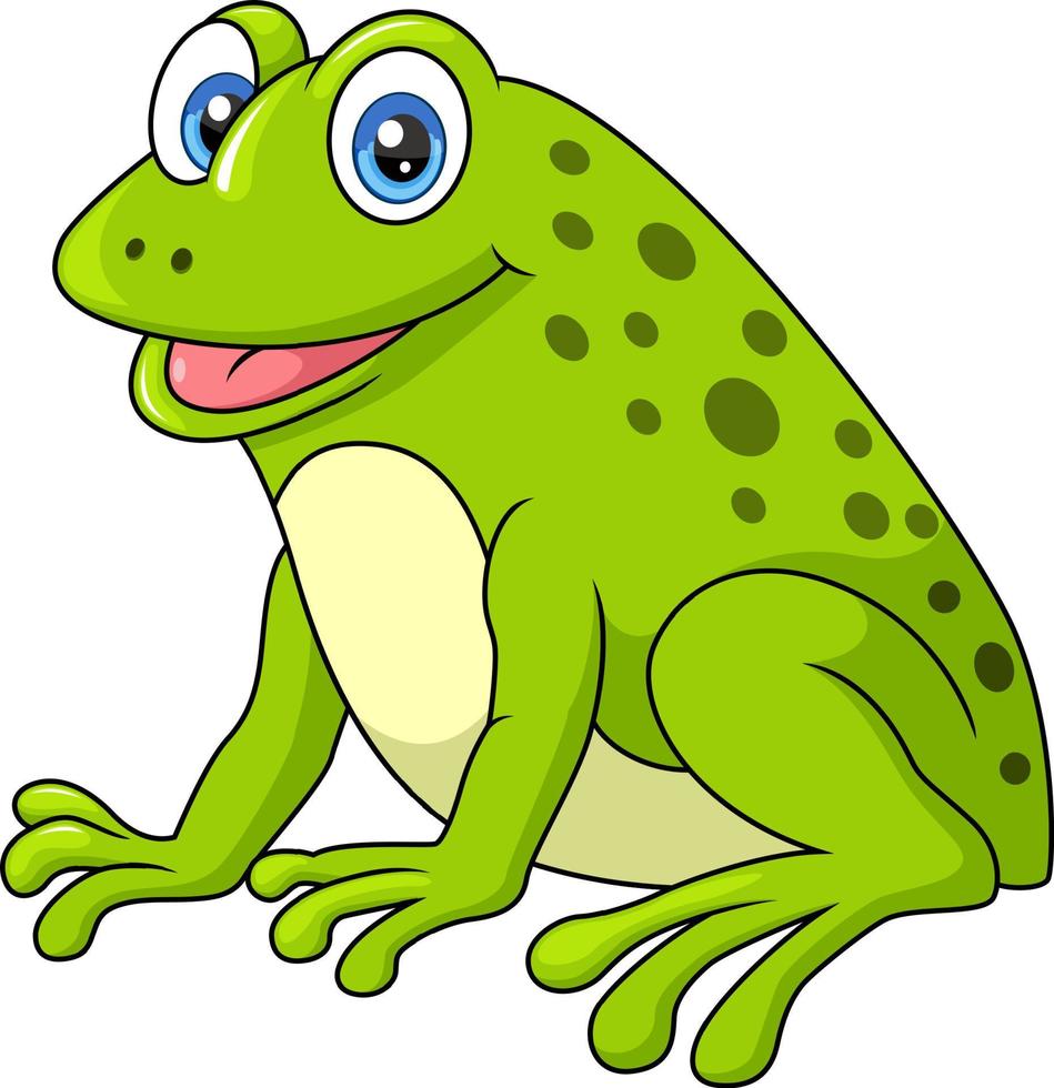 linda contento verde rana dibujos animados en blanco antecedentes vector