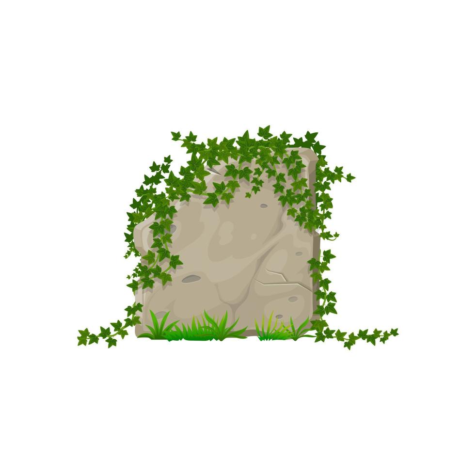 Cartoon forest ivy leaves on rock and stone panel vector