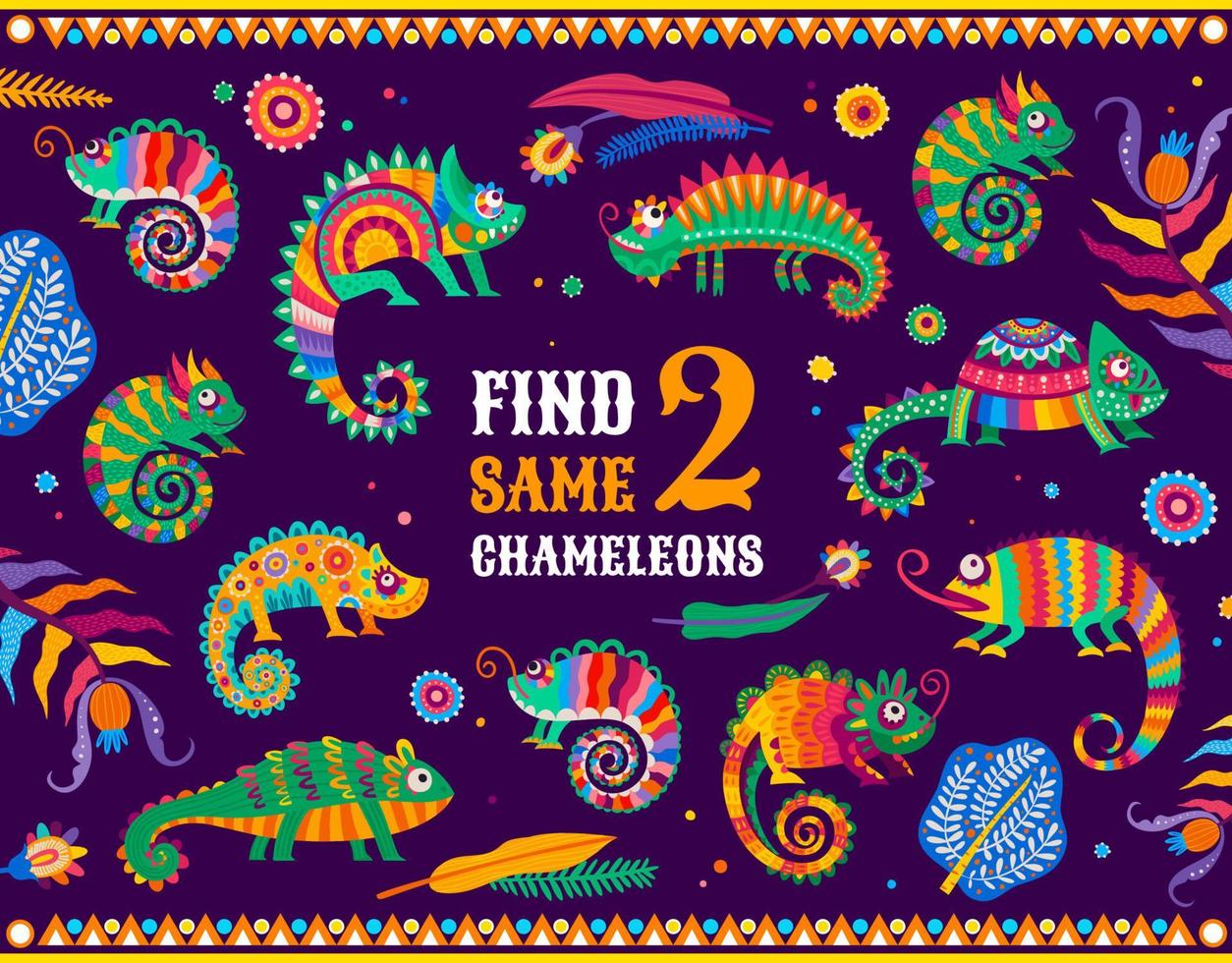 Find two same mexican chameleon lizards kids game vector