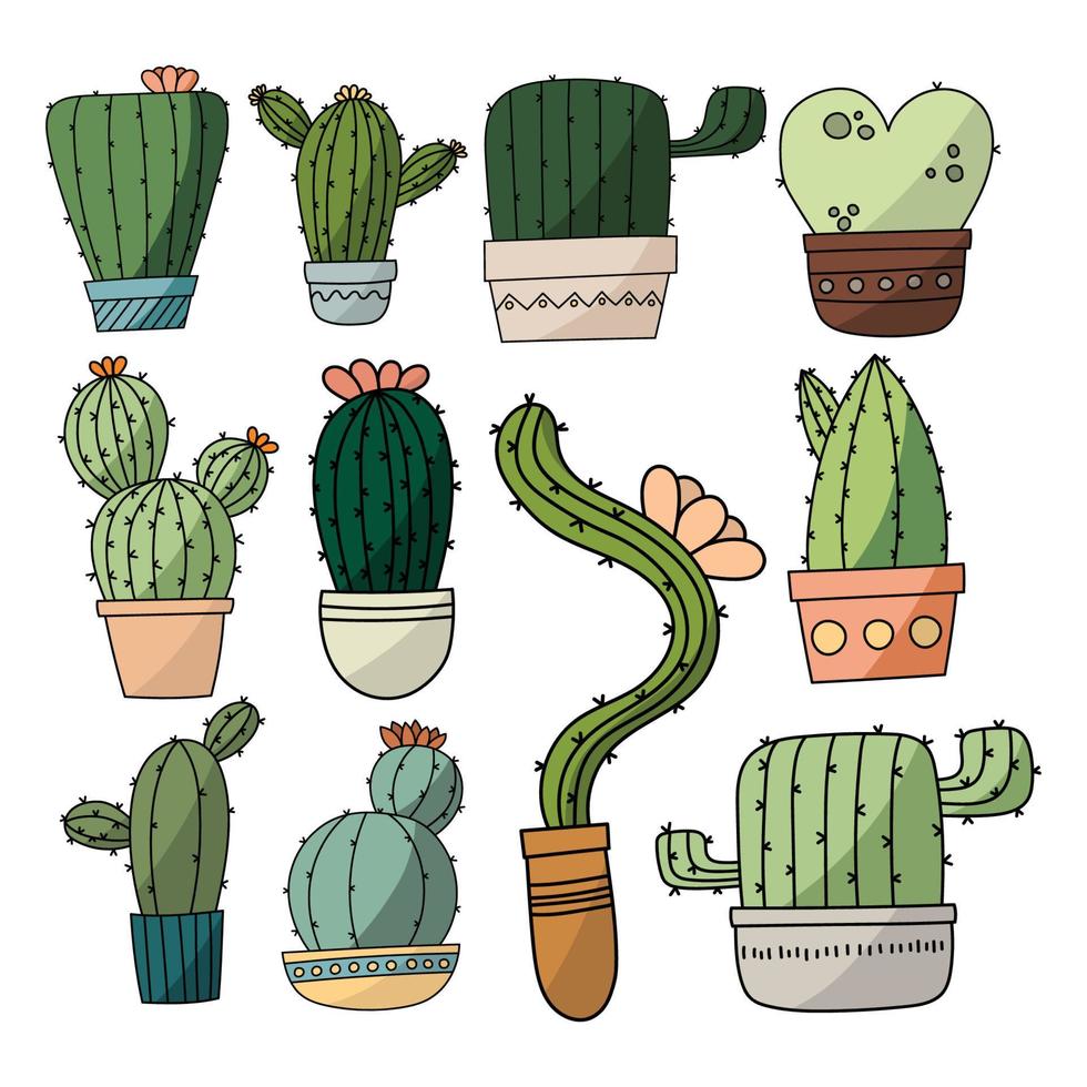 Cactus isolated cartoon icon set. Vector flat