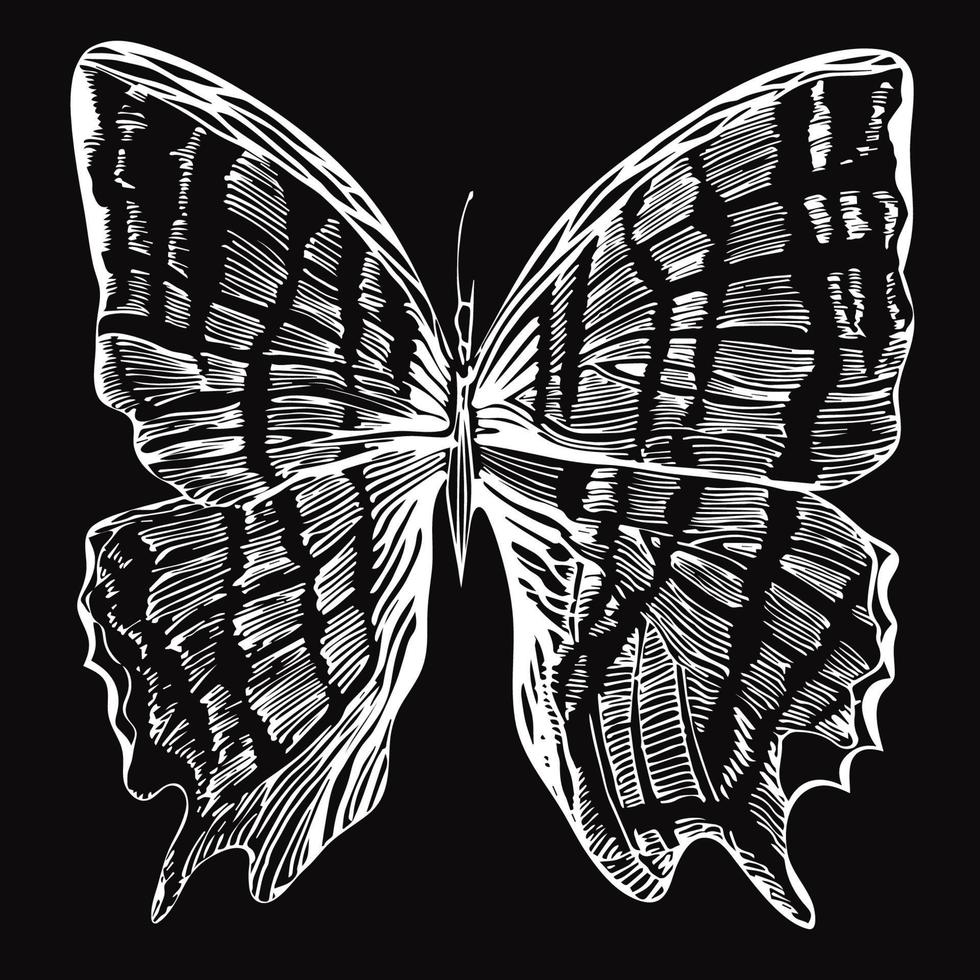 mano dibujado detallado mariposa. aislado negro y blanco vector insecto. monocromo ilustración