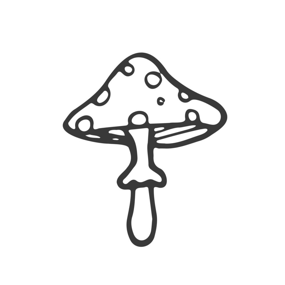 Doodle forest mushroom. Hand drawn sketch line art, vector illustration isolated on white background, gray line art, nature sketch