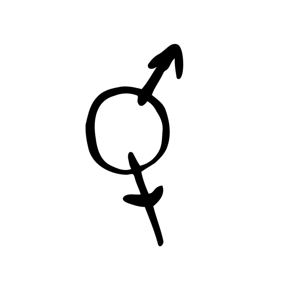 Hand drawn gender symbols. Sketch of male and female signs in doodle style. Vector illustration about sex differences and relationship, gender role