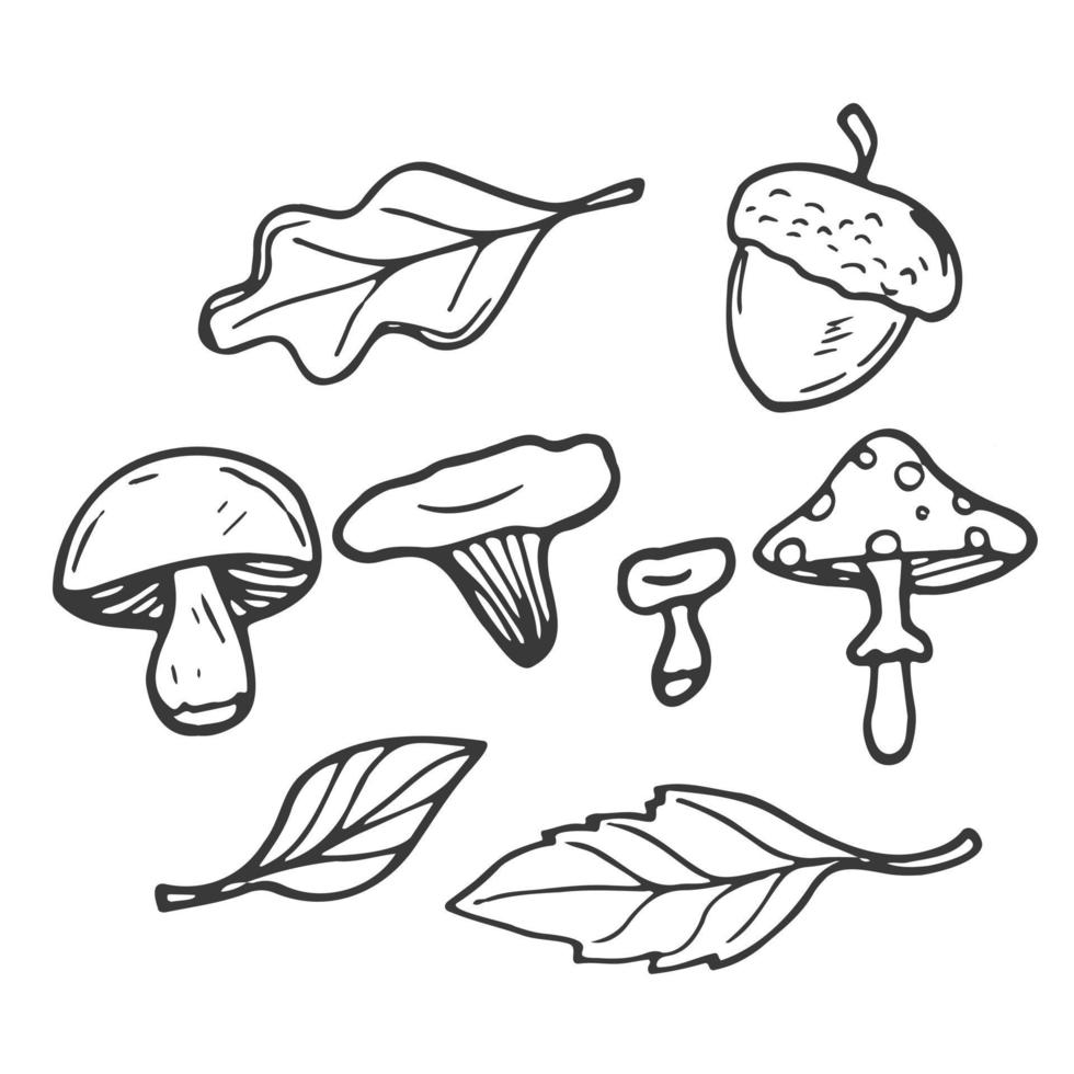 Doodle leaves and mushrooms set. Forest and woodland concept vector