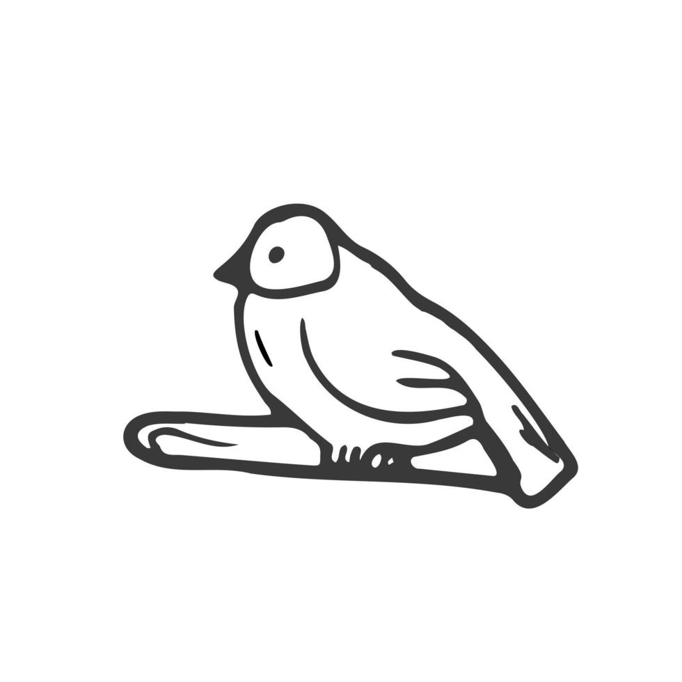 Vector hand drawn doodle sketch bird isolated on white background