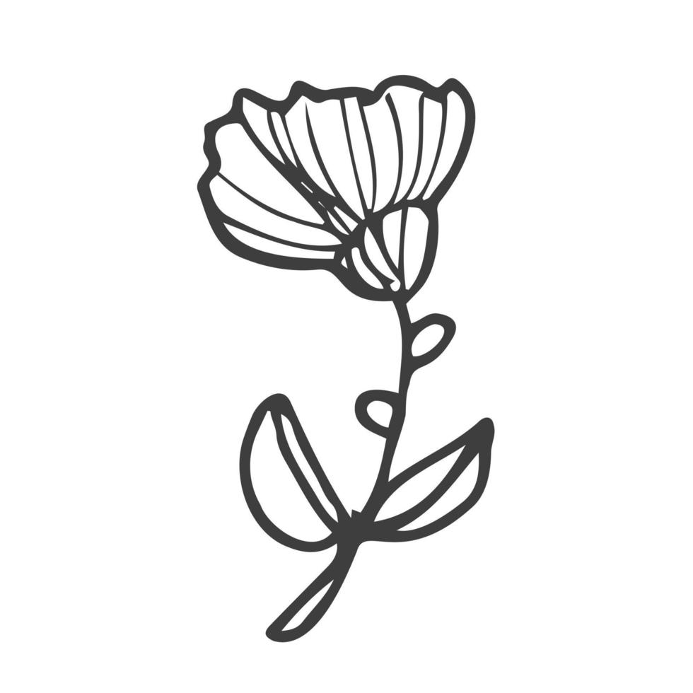 Hand drawn doodle flowers. Set of sketches of different summer flowers. Rose, tulip, dahlia, lily, chamomile and leaves line art. Vector illustration