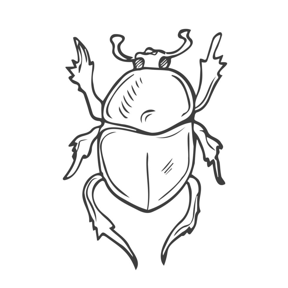 beetles set hand drawn elements in doodle style. vector scandinavian insects